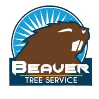 Beaver Tree Services Wellington image 1
